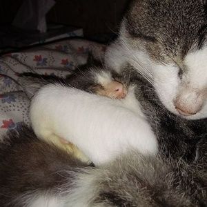 Meet your Posher, Jenny